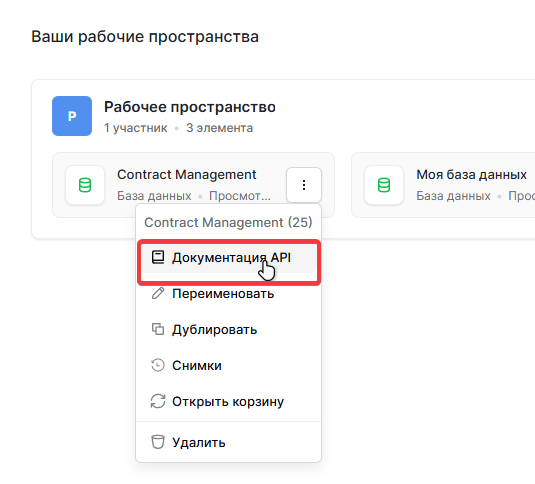 Пункт «Документация API» в меню базы данных